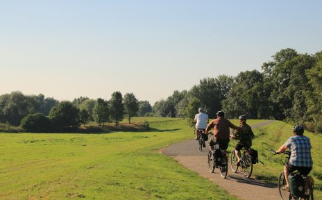 Vier Radfahrer auf dem Deich im Ortsteil Habenhausen